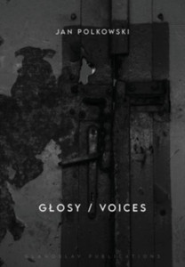 Glosy / Voices: Bilingual Edition