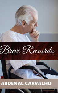 Breve Recuerdo: Romance de Ficcion