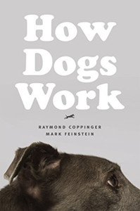 How Dogs Work How Dogs Work