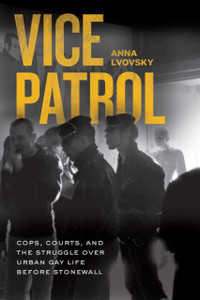 Vice Patrol: Cops, Courts, And The Struggle Over Urban Gay Life Before Stonewall - 9780226769783