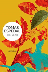 The Year: A Novel