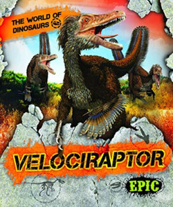 Velociraptor - 9781644870914