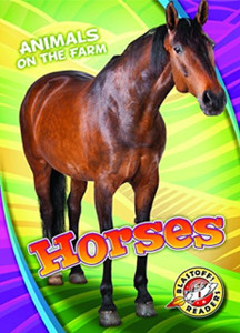 Horses - 9781626177246