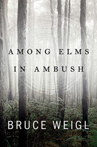Among Elms, In Ambush
