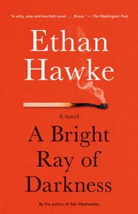 A Bright Ray of Darkness: A novel