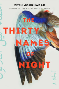 Thirty Names of Night: A Novel