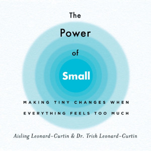 The Power Of Small: Making Tiny Changes When Everything Feels Too Much The Power Of Small: Making Tiny Changes When Everything Feels Too Much