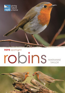 Rspb Spotlight: Robins