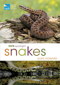 RSPB Spotlight Snakes