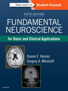 Fundamental Neuroscience For Basic And Clinical Applications Fundamental Neuroscience For Basic And Clinical Applications