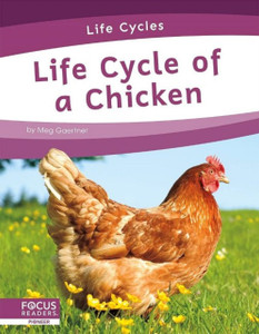 Life Cycles: Life Cycle Of A Chicken Life Cycles: Life Cycle Of A Chicken