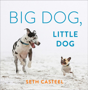 Big Dog, Little Dog - 9780593183663