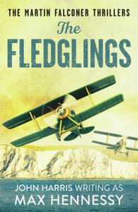 The Fledglings - 9781800327375