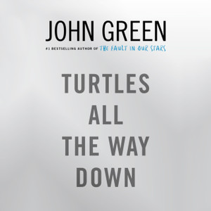 Turtles All The Way Down - 9780241335666