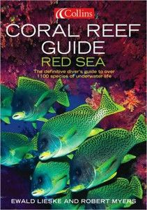 Coral Reef Guide Red Sea Coral Reef Guide Red Sea
