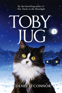 Toby Jug Toby Jug