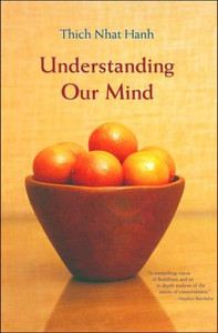 Understanding Our Mind