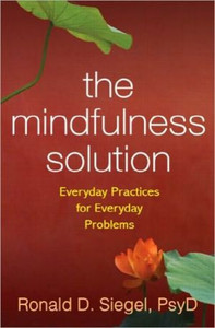 The Mindfulness Solution The Mindfulness Solution