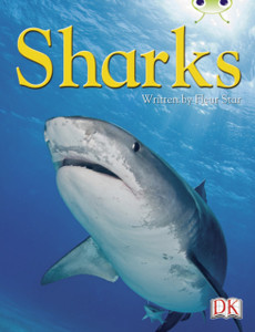 BC NF Blue (KS2) B/4A Sharks BC NF Blue (KS2) B/4A Sharks