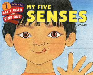 My Five Senses My Five Senses