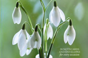Card Box of 20 Notecards and Envelopes: Snowdrop Card Box of 20 Notecards and Envelopes: Snowdrop