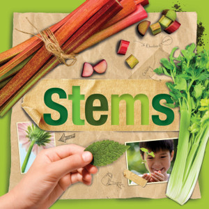 Stems Stems