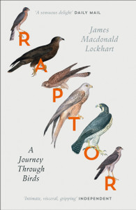 Raptor: A Journey Through Birds Raptor: A Journey Through Birds