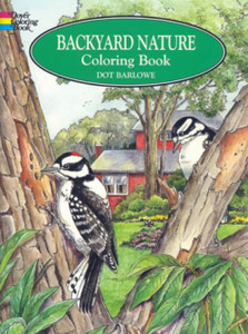 Backyard Nature Colouring Book
