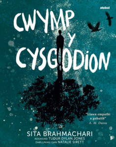 Darllen yn Well: Cwymp y Cysgodion Darllen yn Well: Cwymp y Cysgodion