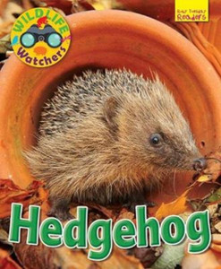 Wildlife Watchers: Hedgehog Wildlife Watchers: Hedgehog