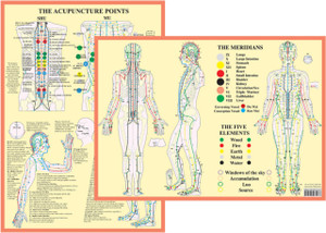 Meridians and 5 Elements Meridians and 5 Elements