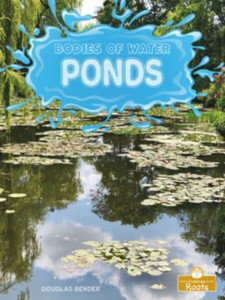 Ponds Ponds