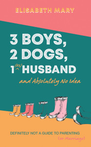 3 Boys, 2 Dogs, 1 (Ex) Husband and Absolutely No Idea : Definitely not a guide to parenting (or Marriage)