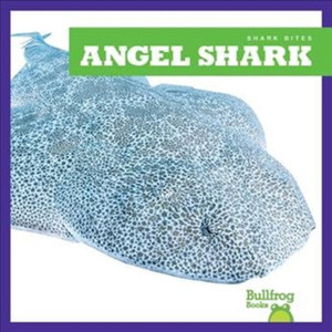 Angel Shark Angel Shark