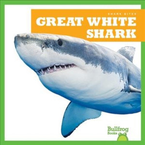 Great White Shark Great White Shark