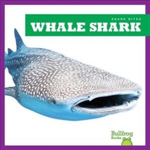 Whale Shark Whale Shark