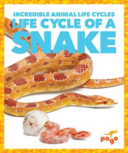Life Cycle of a Snake Life Cycle of a Snake