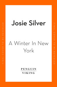 A Winter in New York A Winter in New York