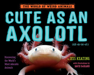 Cute as an Axolotl : Discovering the World's Most Adorable Animals