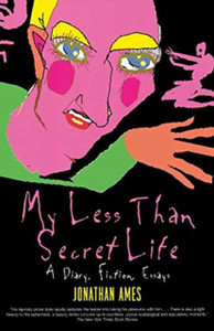 My Less Than Secret Life : A Diary, Fiction, Essays My Less Than Secret Life : A Diary, Fiction, Essays