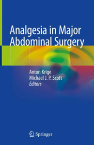 Analgesia in Major Abdominal Surgery
