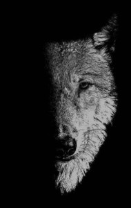 In the Company of Wolves : Werewolves, Wolves and Wild Children In the Company of Wolves : Werewolves, Wolves and Wild Children