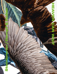 Heaven Can Wait : Steinbrener/Dempf & Huber