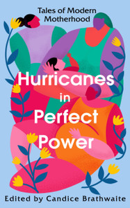 Hurricanes in Perfect Power : Tales of Modern Motherhood