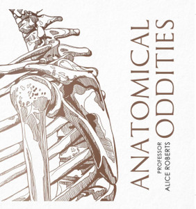 Anatomical Oddities Anatomical Oddities