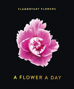 Flamboyant Flowers Perpetual Calendar Flamboyant Flowers Perpetual Calendar