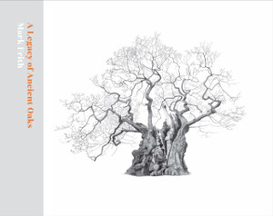 A Legacy of Ancient Oaks A Legacy of Ancient Oaks
