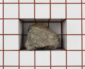 Zhang Ruyi (Bilingual edition)