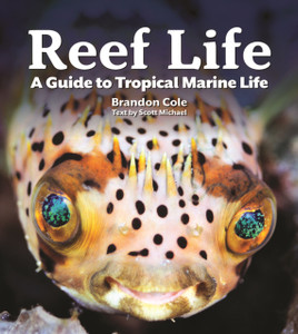 Reef Life : A Guide to Tropical Marine Life