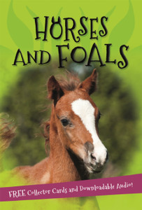 It's all about... Horses and Foals It's all about... Horses and Foals